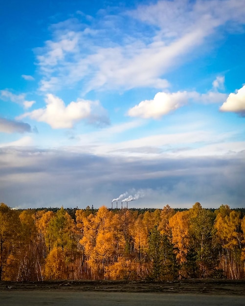 写真 秋の空に照らされた湖の景色