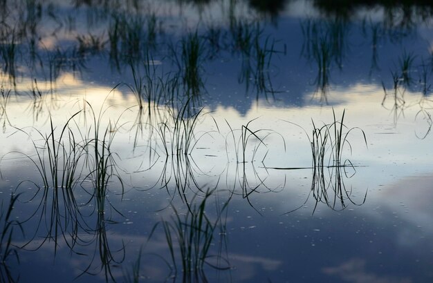 写真 空に照らされた湖の景色