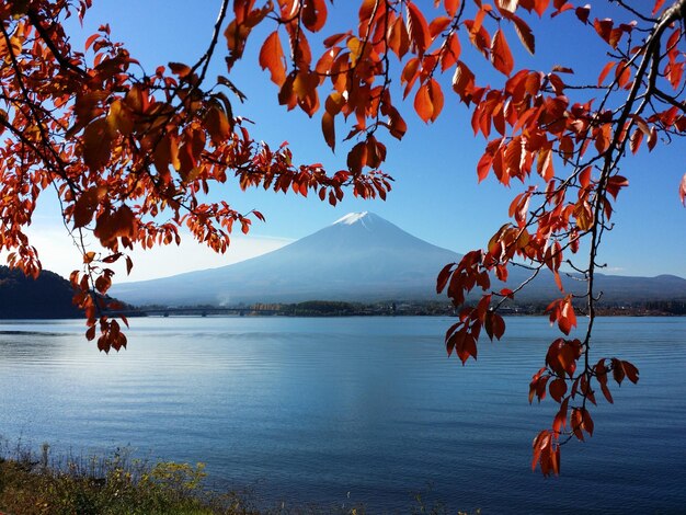 写真 空に照らされた湖の景色