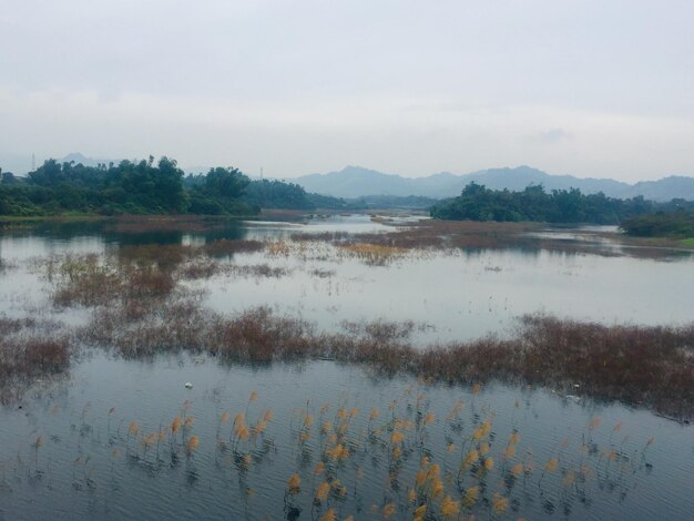 사진 하늘 을 배경 으로 한 호수 의 풍경