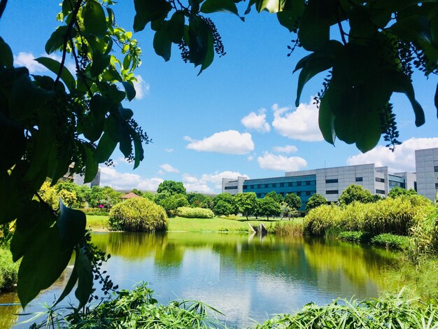 写真 空に照らされた湖の景色