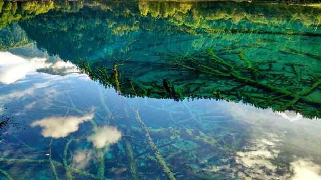 写真 空に照らされた湖の景色