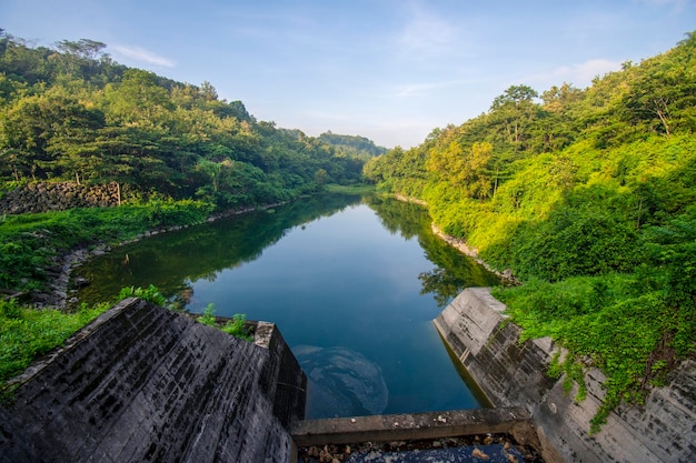 写真 天空を背景に木々の中の湖の景色