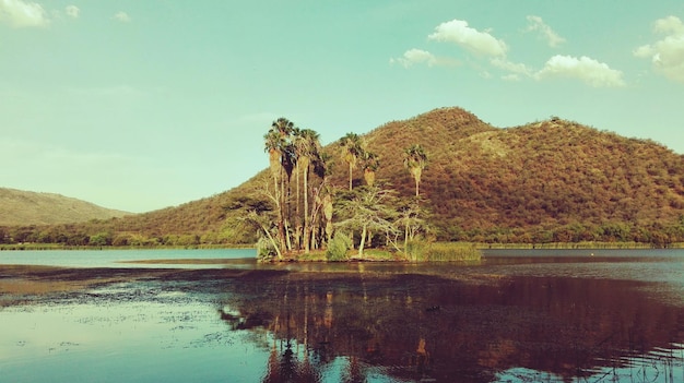 写真 湖と山の景色