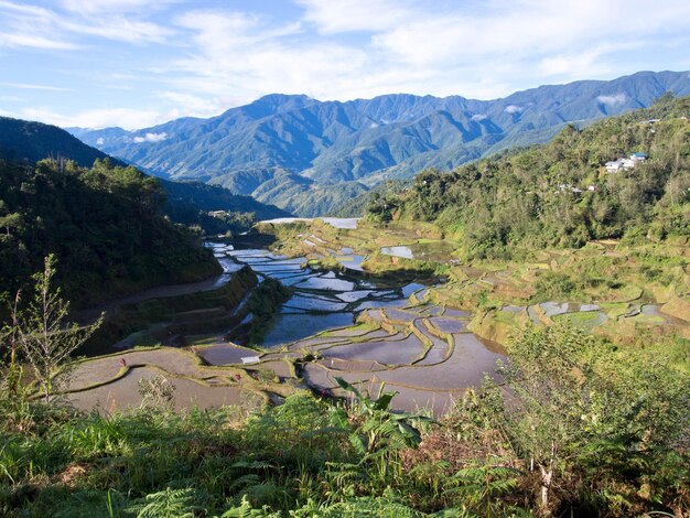 写真 空の背景にある湖と山の景色