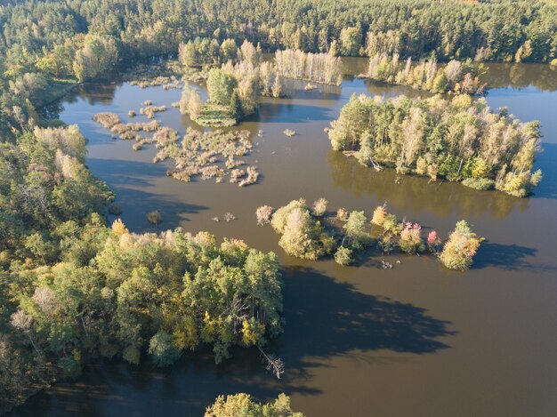 Фото Красивый вид на озеро и деревья