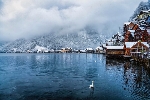 写真 空に照らされた建物による湖の景色