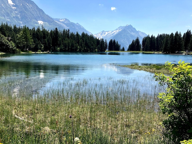 写真 空の背後にある山から湖の景色