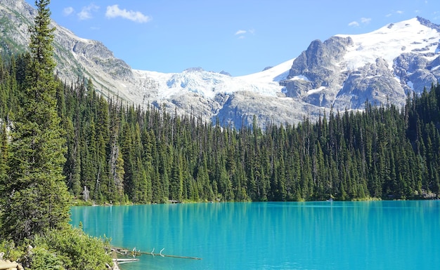 写真 冬の山から見える湖の景色