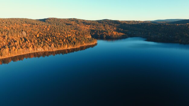 写真 澄んだ青い空に照らされた木々による湖の景色