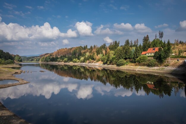 Фото Красивый вид на озеро на деревьях на фоне неба