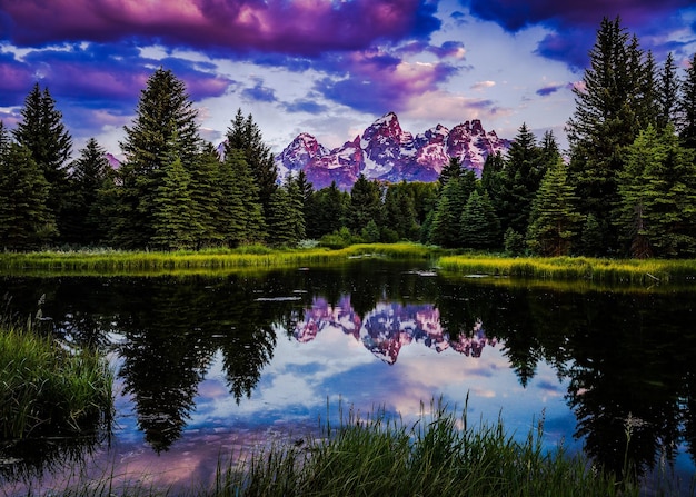 写真 空に照らされた木々から湖の景色