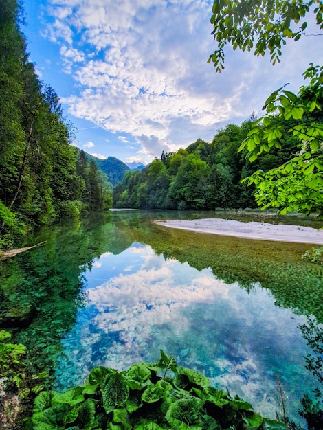 写真 天空を背景に木々から見える湖の景色