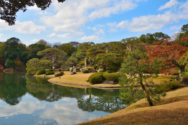 写真 空に照らされた木々から湖の景色