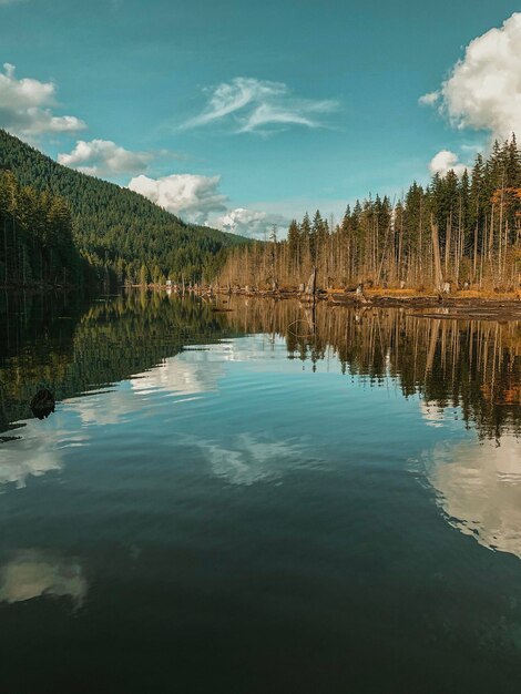 写真 天空を背景に森の中の湖の景色