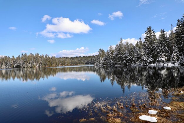 写真 天空を背景に森の中の湖の景色