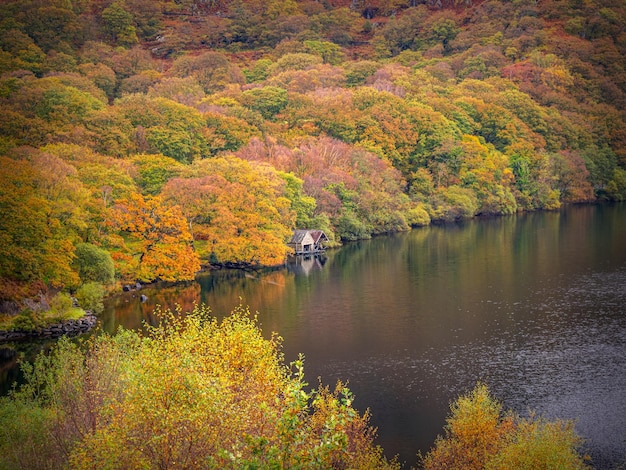 写真 秋の森の中の湖の景色