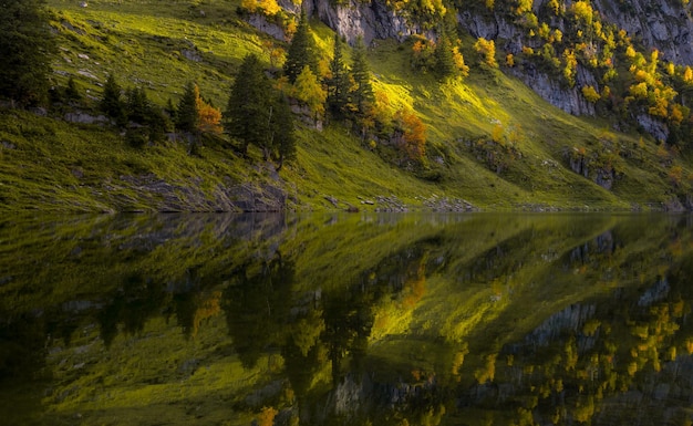 写真 秋の森の中の湖の景色