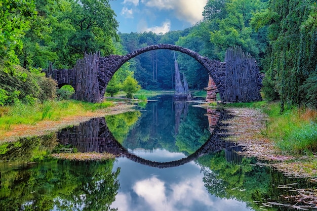 写真 森の中の湖の景色