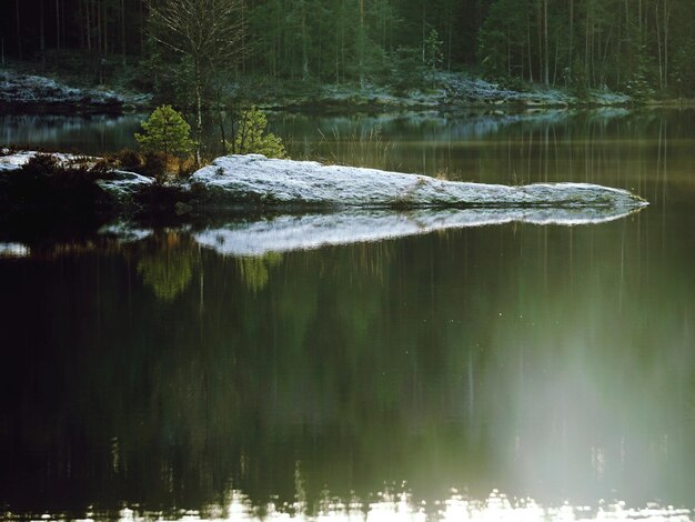 写真 森の中の湖の景色