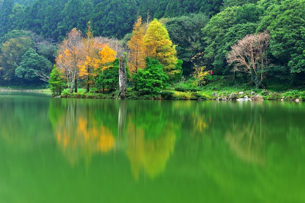 写真 森の中の湖の景色