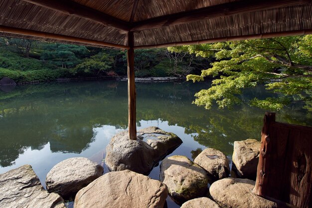 写真 湖の景色