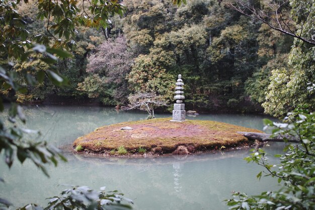 写真 湖の景色