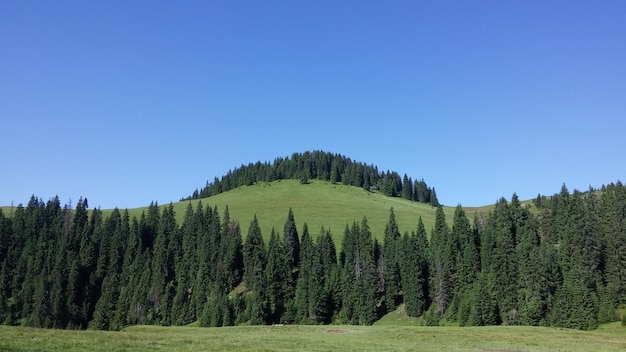 Фото Пейзажный вид на ландшафт на ясном небе