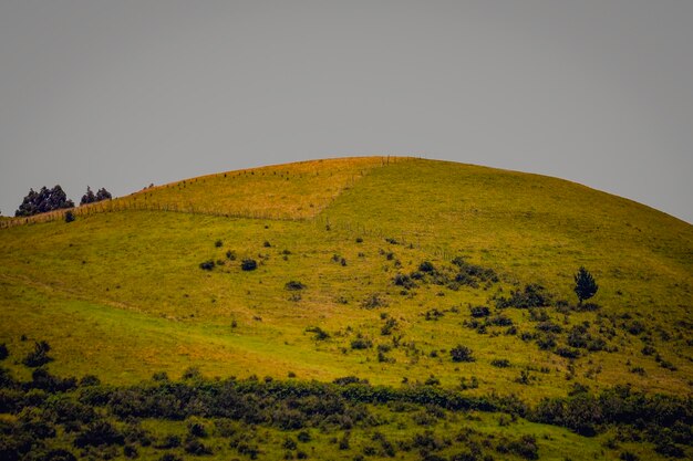 写真 晴れた空を背景に景色の景色