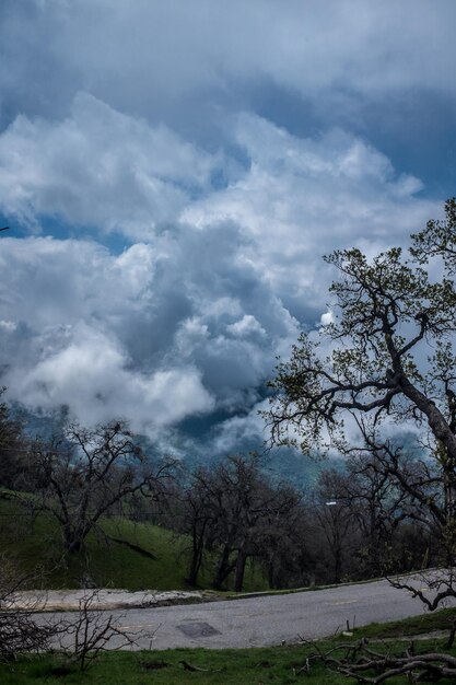 写真 雲の空を背景にした景色の景色