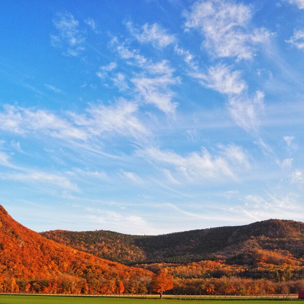 写真 秋の空の背景にある風景の景色