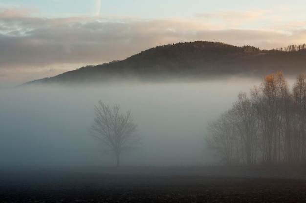 写真 霧の天候で空を背景に景色の景色