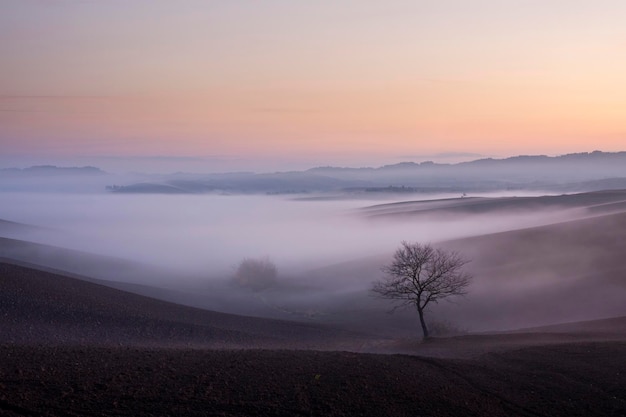 写真 夕暮れの空の背景にある景色の景色