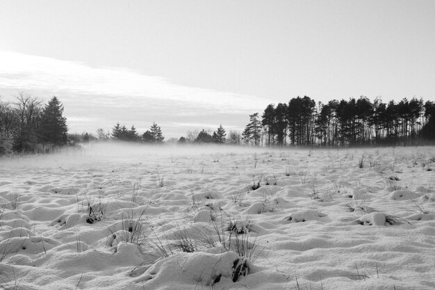 Фото Вид на пейзаж на фоне неба зимой