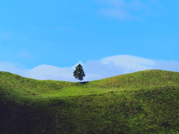 写真 天空を背景にした景色の景色