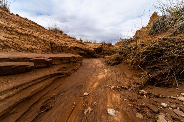 Фото Пейзажный вид на пейзаж на фоне неба