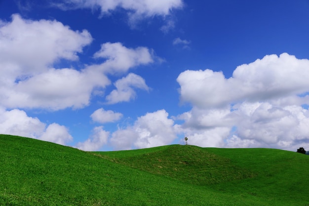 写真 天空を背景にした景色の景色