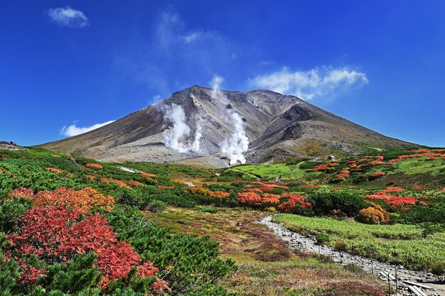 写真 青い空に照らされた山の景色