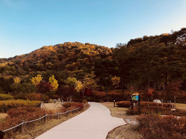 사진 가을 에 은 하늘 을 배경 으로 산 의 풍경