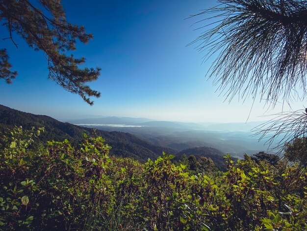 写真 青い空の背景にある山の景色