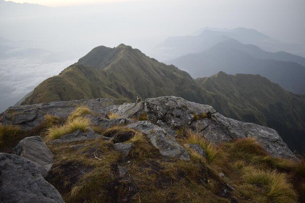 写真 晴れた空に囲まれた山の景色