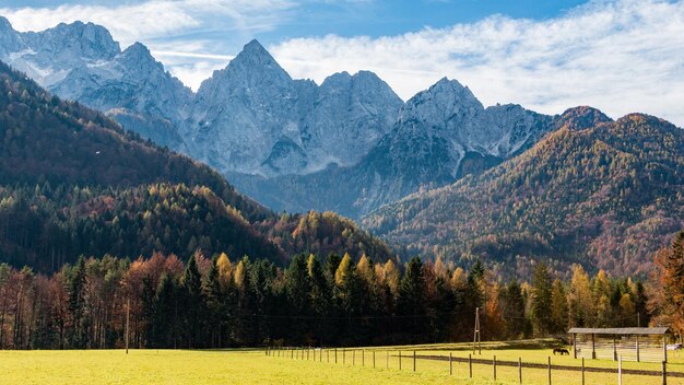 写真 空に照らされた山の景色