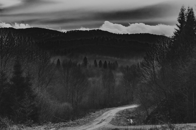 写真 空の背景にある山の景色