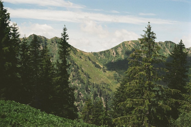 写真 空に照らされた山の景色