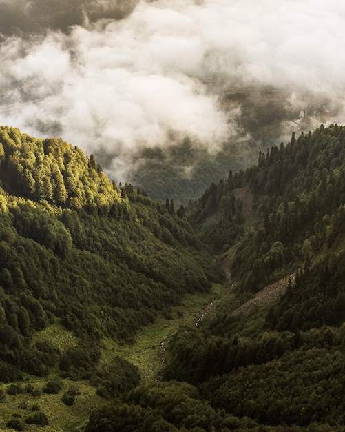 写真 空に照らされた山の景色