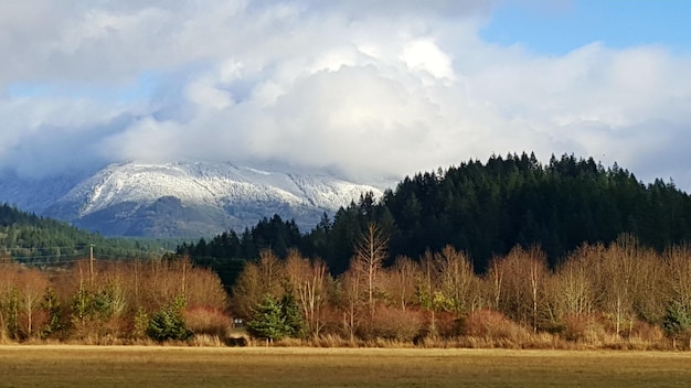 写真 空の背景にある山の景色