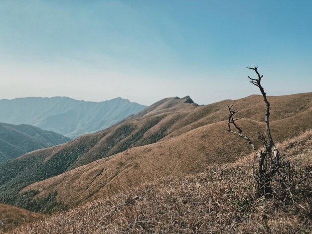 写真 空の背景にある山の景色