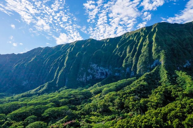 写真 空の背景にある山の景色