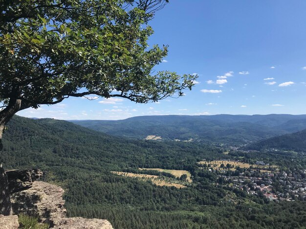 写真 空の背景にある山の景色