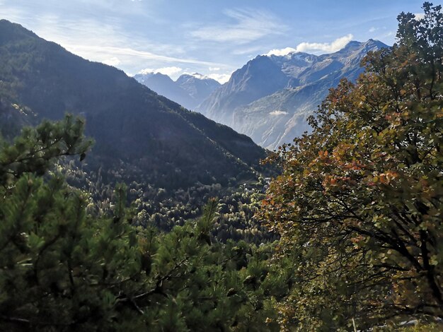 写真 空の背景にある山の景色